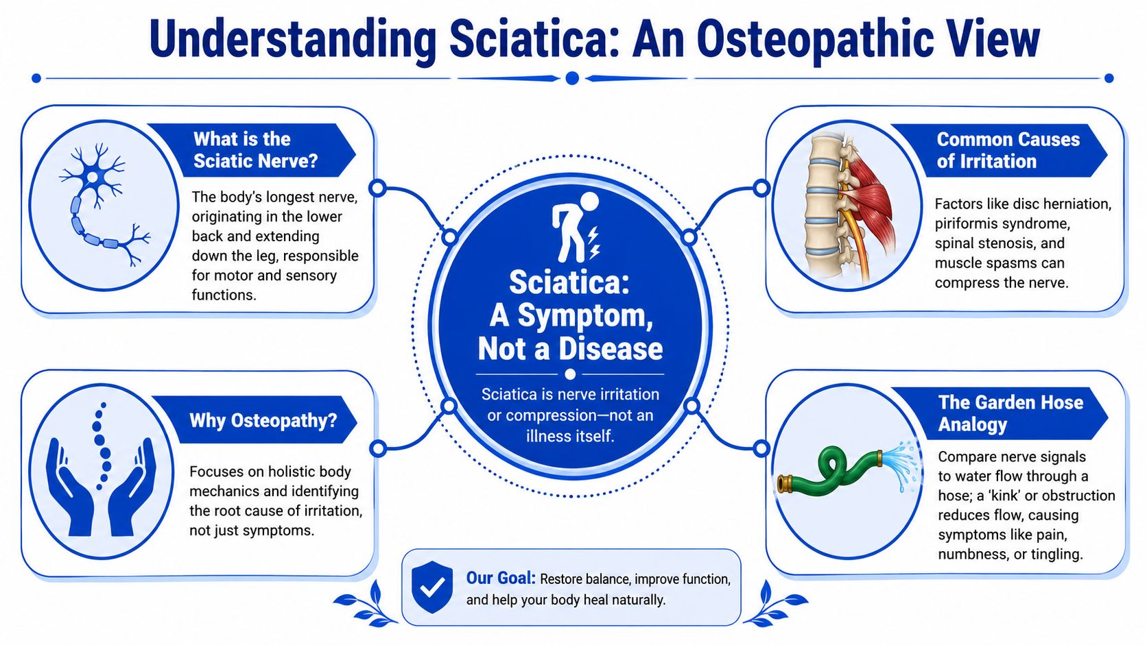 An infographic explaining sciatica as a symptom of nerve irritation and the role of osteopathy in treatment.