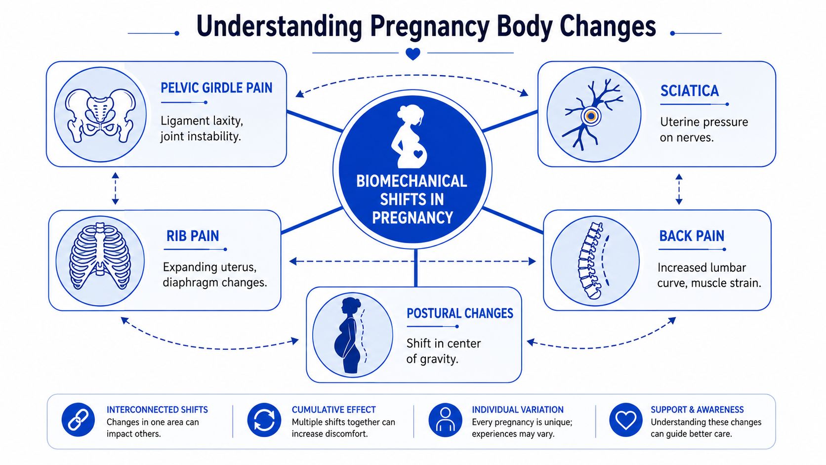 A diagram illustrating biomechanical changes in the body during pregnancy, including pain areas and postural shifts.