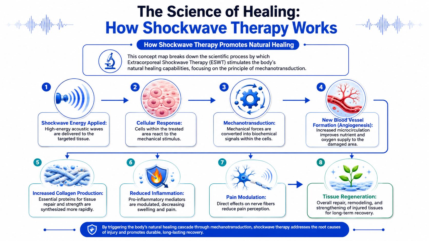 A diagram illustrating the scientific process of how shockwave therapy promotes natural healing in the body.