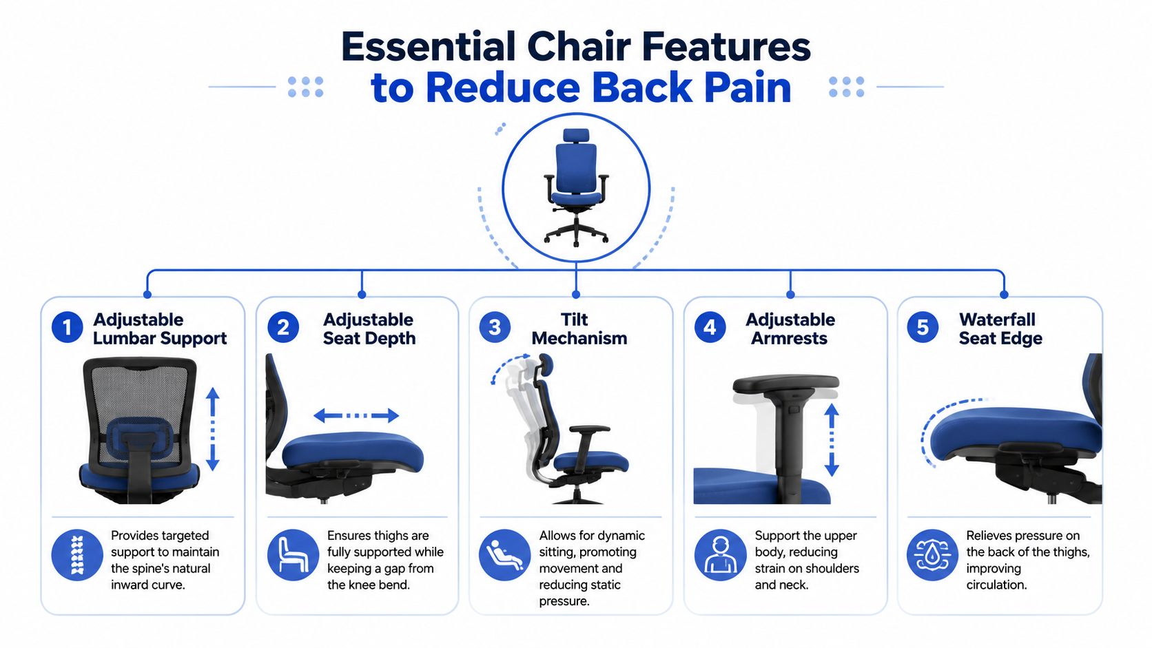 An infographic showing five essential ergonomic chair features that help reduce back pain for office workers.