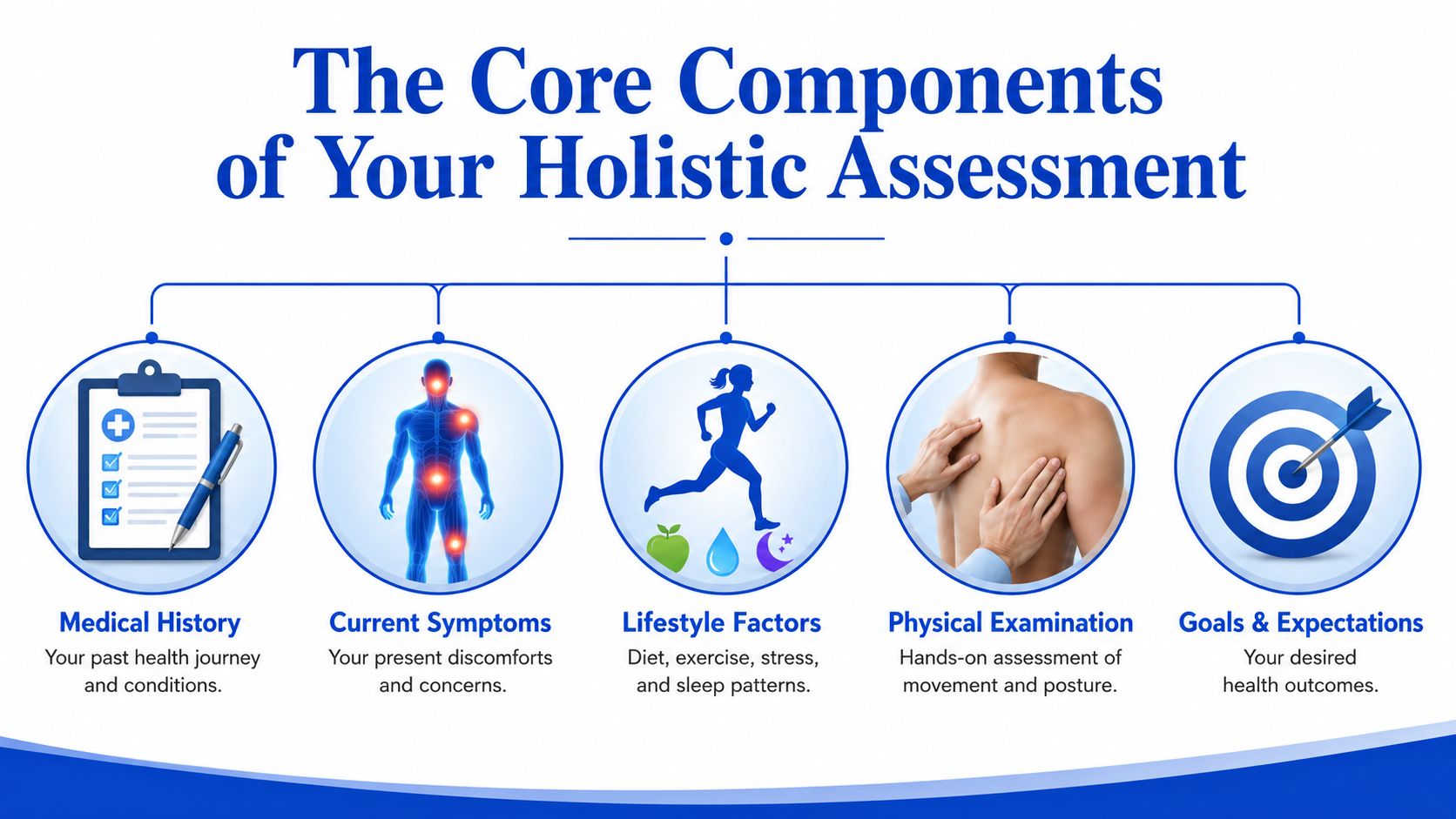 An infographic titled The Core Components of Your Holistic Assessment illustrating medical history, symptoms, lifestyle, examination, and goals.