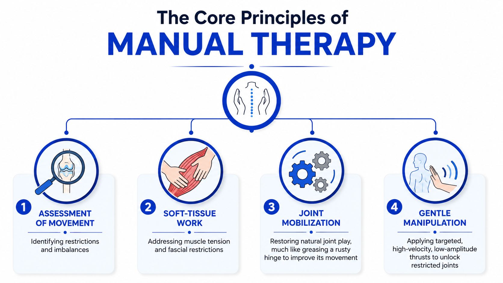A diagram illustrating the four core principles of manual therapy for muscle and joint rehabilitation.