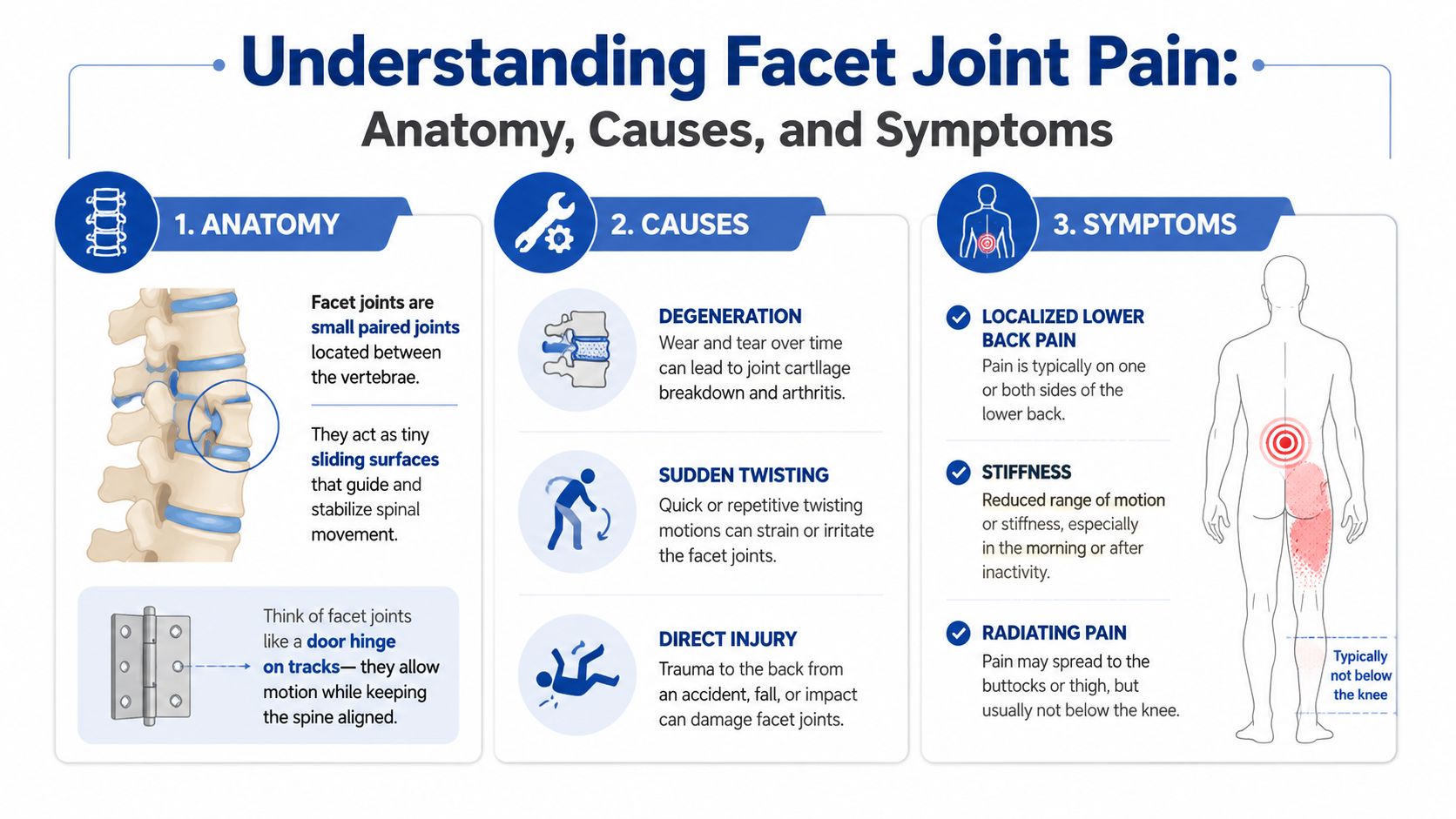 An infographic titled Understanding Facet Joint Pain explaining the anatomy, common causes, and typical symptoms of the condition.