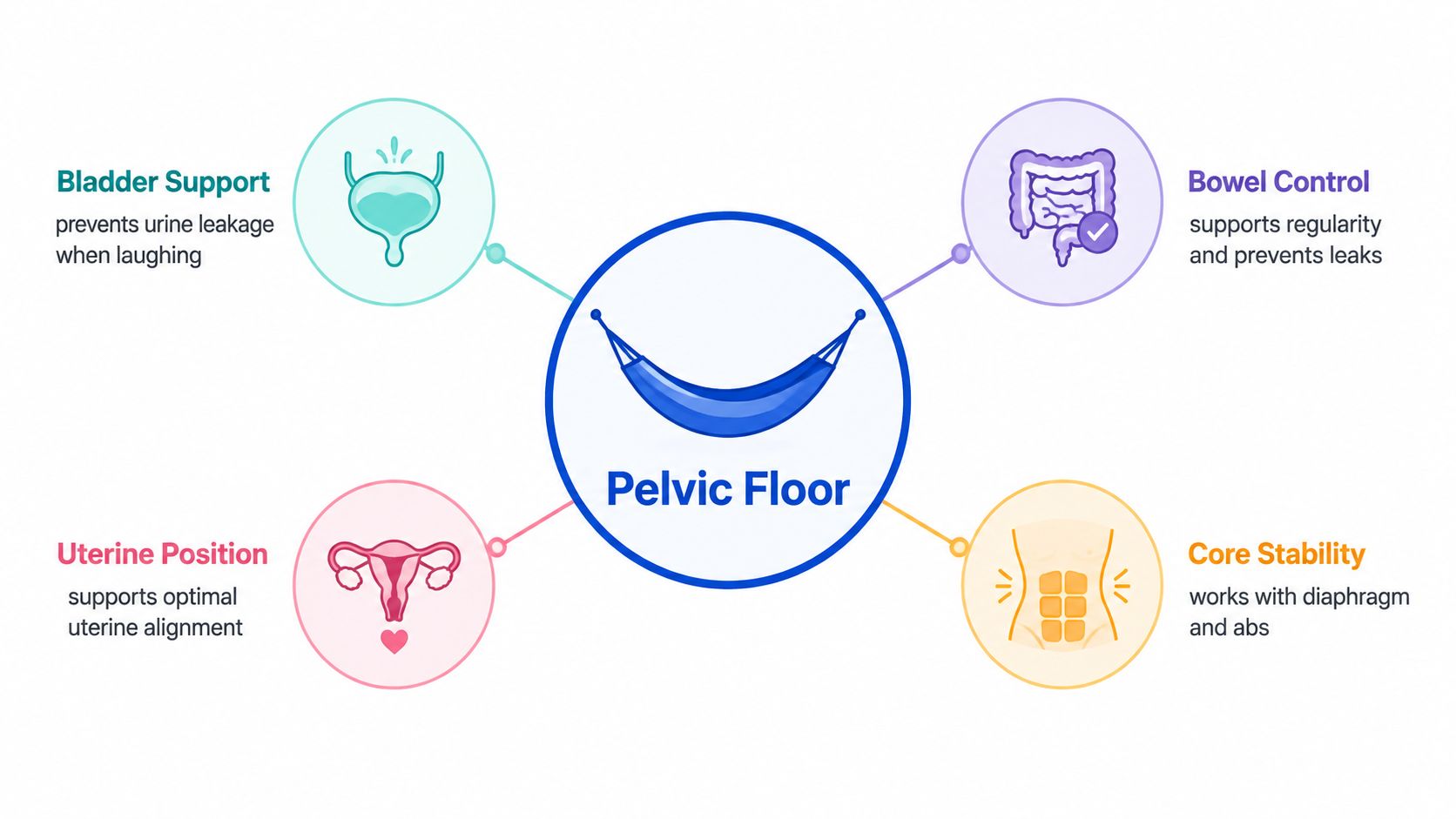 A diagram illustrating the four key functions of the pelvic floor, including bladder support, bowel control, uterine position, and core stability.
