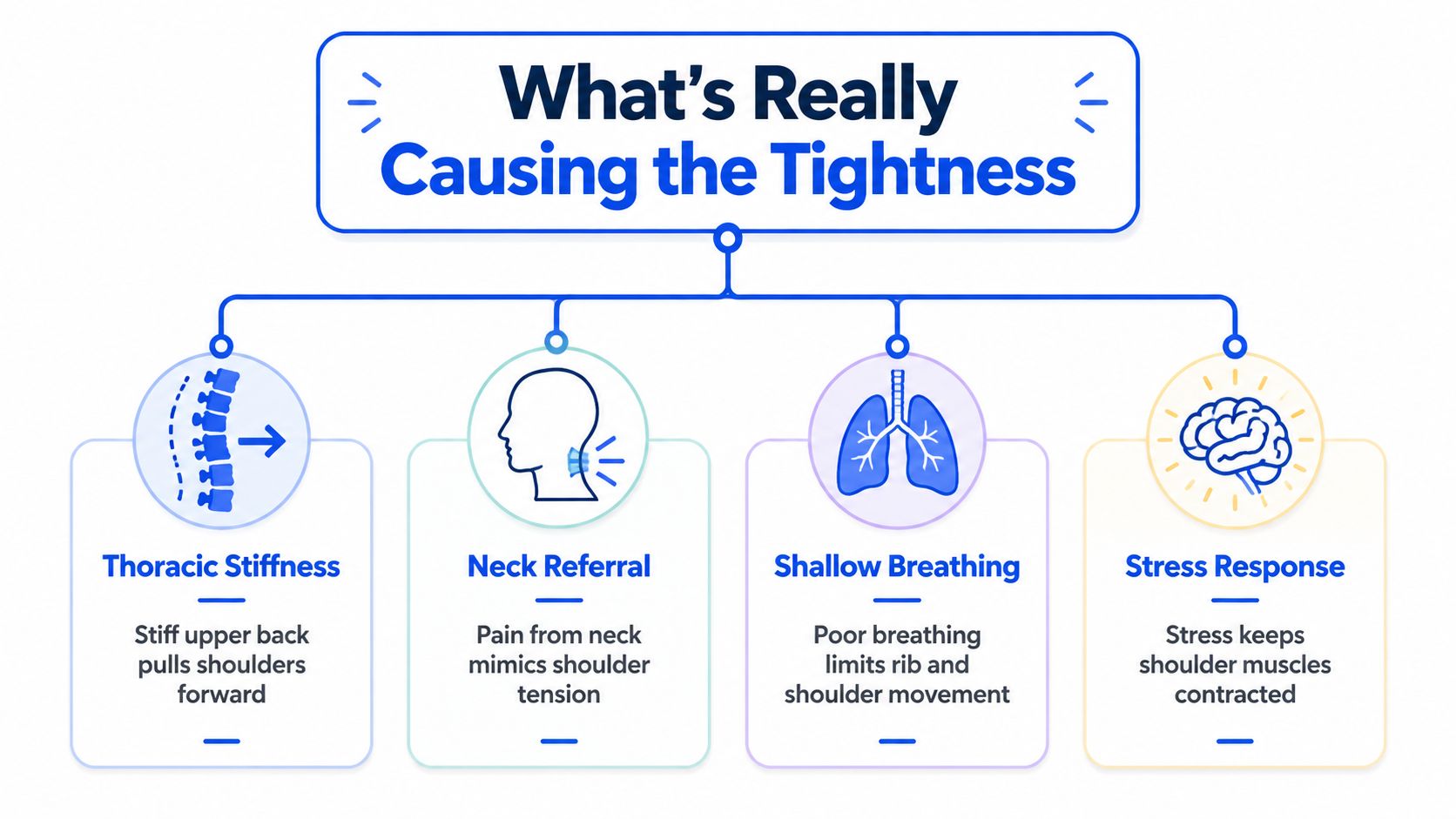 An infographic titled What's Really Causing the Tightness explaining four key causes of shoulder muscle tension.