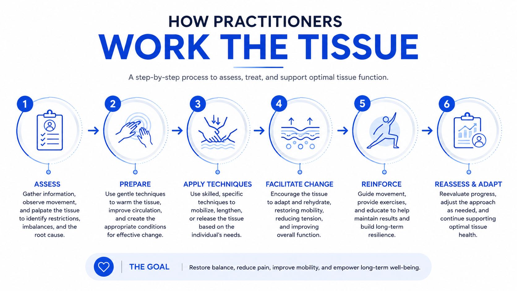 A six-step infographic detailing the process practitioners use to assess, treat, and support optimal tissue function.