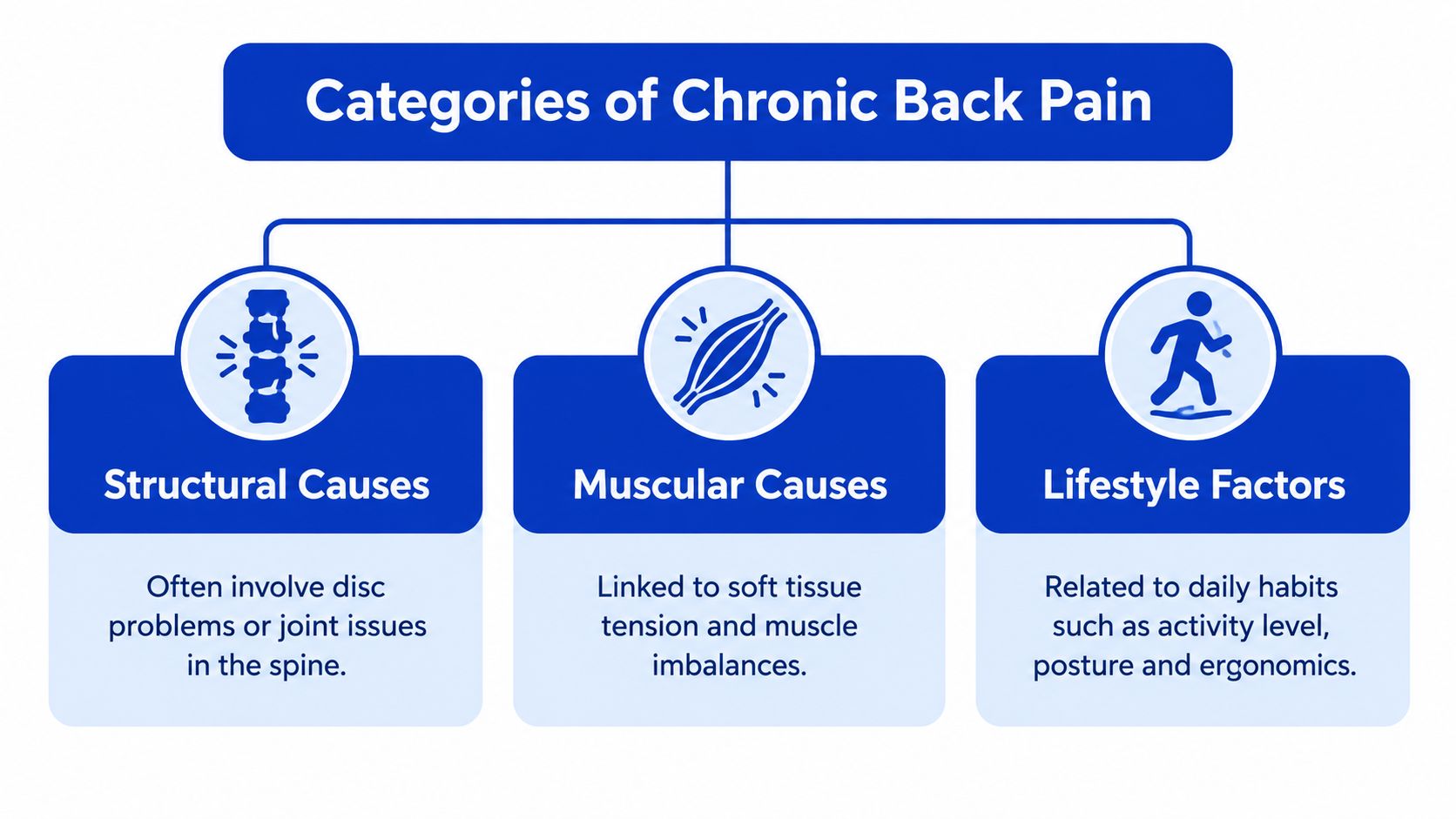 A diagram categorizing chronic back pain into structural causes, muscular causes, and lifestyle factors in a chart.