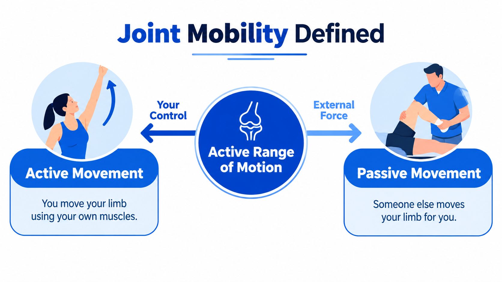A diagram defining joint mobility by distinguishing between active movement performed by muscles and passive movement using external forces.