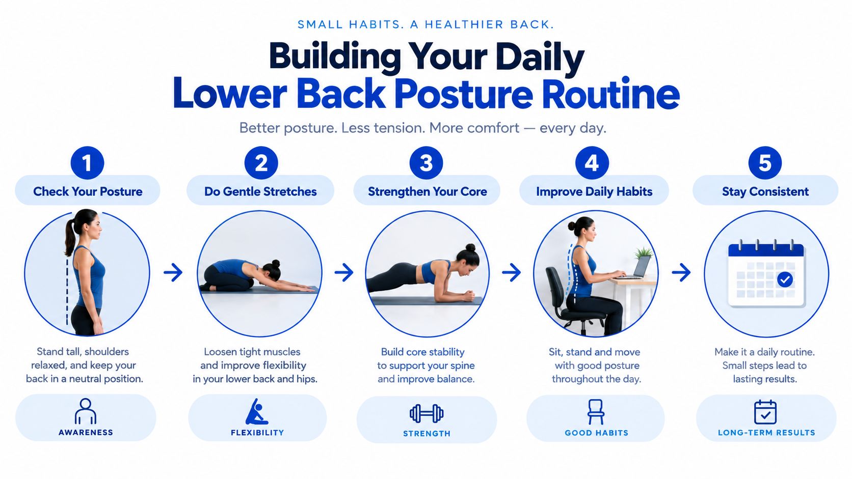 An infographic showing a five-step daily routine for improving lower back posture through stretches and habits.